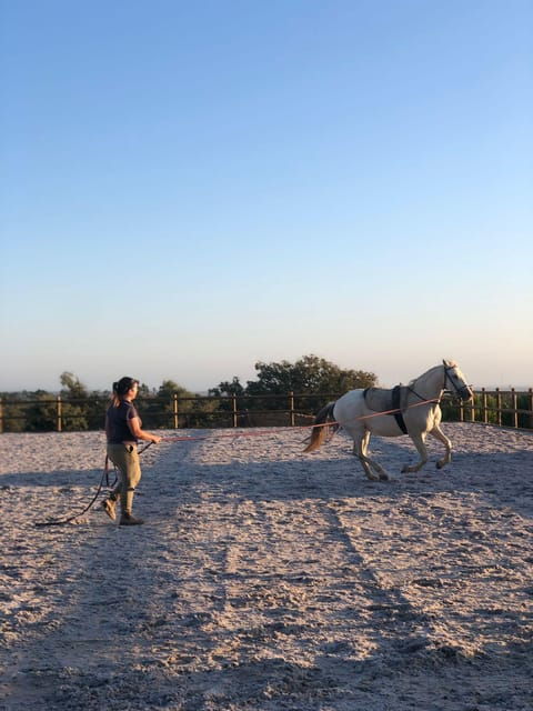 Costa Alentejana: Horse tour in Serra de Grândola - The Value of the Tour