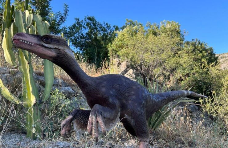 Costa Blanca: DinoPark Algar Entry Ticket - Ticket Details