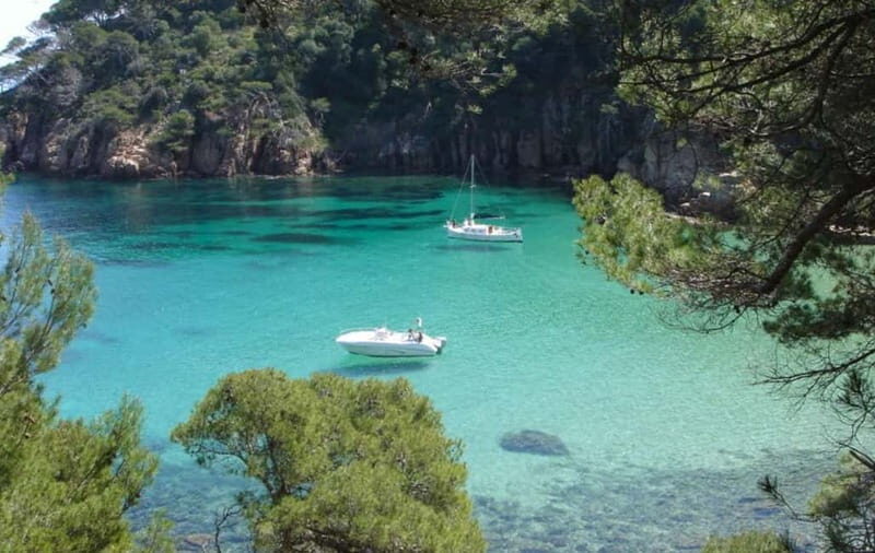 Costa Brava: A day of sailing, sun, and wine among picturesque coves - The Experience in Detail