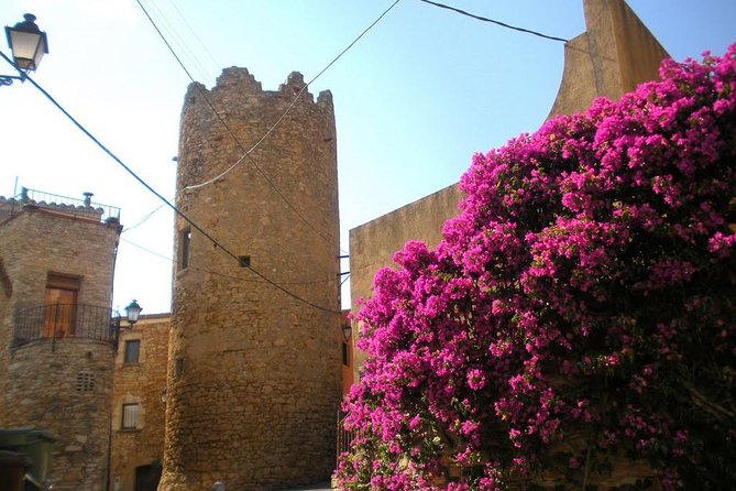 Costa Brava and Medieval Villages Small Group From Girona - The Sum Up