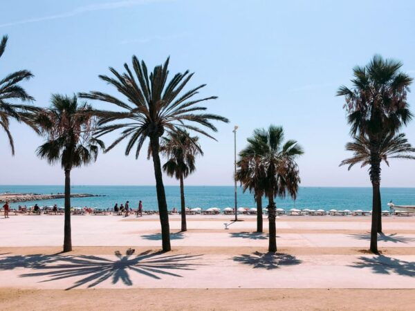 Costa Brava: Barcelona Panoramic Highlights Tour - Explore Iconic Sights