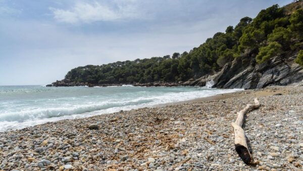 Costa Brava: Cala Murtra Catamaran - Super Underwater View - Frequently Asked Questions