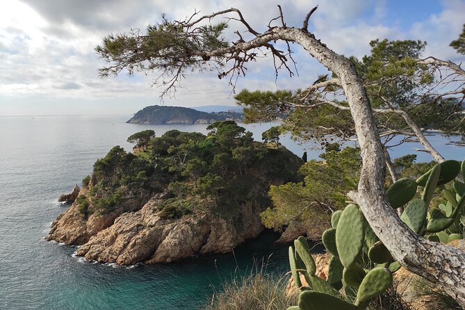 Costa Brava Coast Hike and Snorkel From Barcelona With Lunch - Questions and Assistance