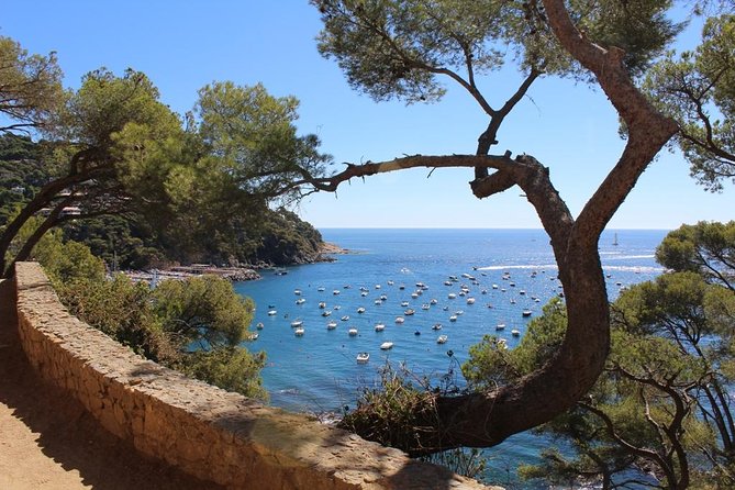 Costa Brava Full Day Trip From Barcelona With Boat Trip - Traveler Reviews and Testimonials