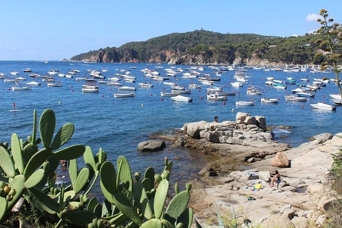 Costa Brava Full Day Trip From Barcelona With Boat Trip - Common Questions