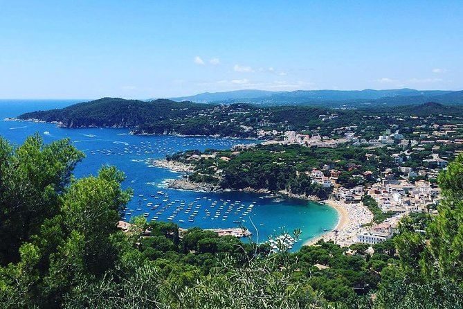 Costa Brava Private Experience by Car With Local Expertise - Reviews and Recommendations