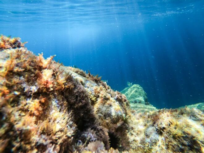 Costa Brava: Sea Caves Kayaking and Snorkeling Tour - Additional Information