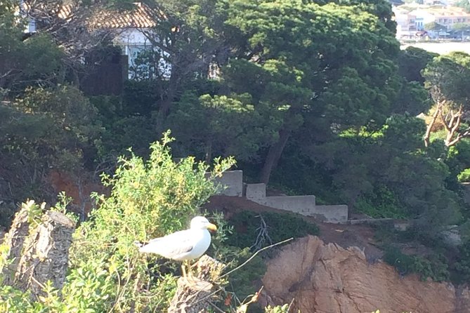 Costa Brava Tour (Full Day) - Directions