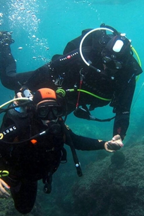 Costa Brava: Unforgettable Diving Adventure With Photos - Good To Know