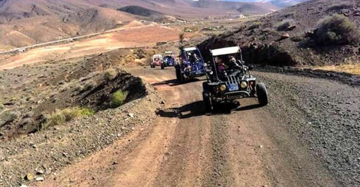 Costa Calma: Buggy Safari - Activity Details