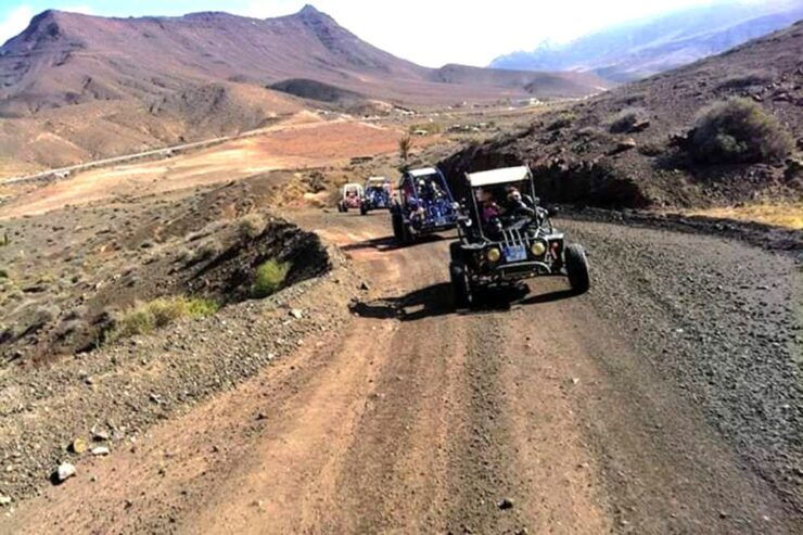 Costa Calma: Buggy Safari - Experience