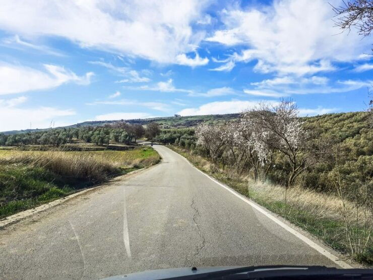 Costa Del Sol and Malaga: Ronda and Setenil De Las Bodegas - Scenic Routes and White Villages