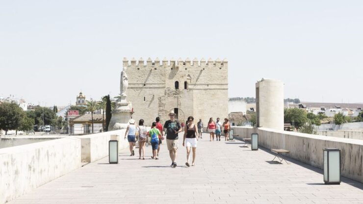 Costa Del Sol: Full-Day Cordoba Tour - Inclusions and Experience Highlights