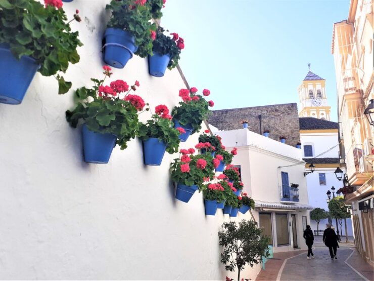Costa Del Sol: Private Tour to Marbella - Experience Highlights