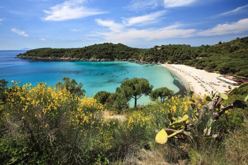 Costa del Sole Elba Island: Tour from Portoferraio and Lacona - In-Depth Look at the Tour Experience