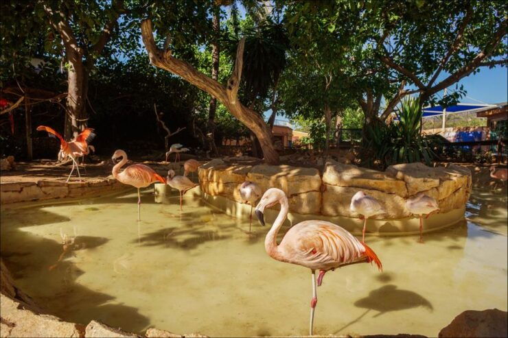 Costa D'en Blanes: Entry Ticket for Marineland Mallorca - Experience Highlights