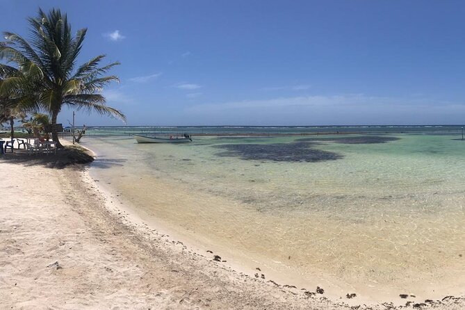 Costa Maya Beach Break All Inclusive From Port - Meeting and Pickup Details