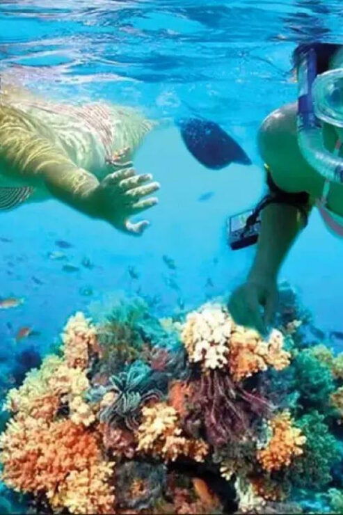 Costa Maya: Mahahual Snorkeling Adventure Tour - Good To Know