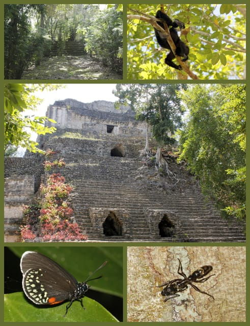 Costa Maya: Mayan Temples & Caribbean Sea Tour - Itinerary and Locations
