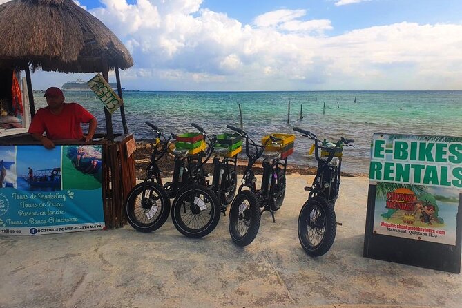 Costa Maya Private Guided E-Bike Tour - Expert Guided Tour