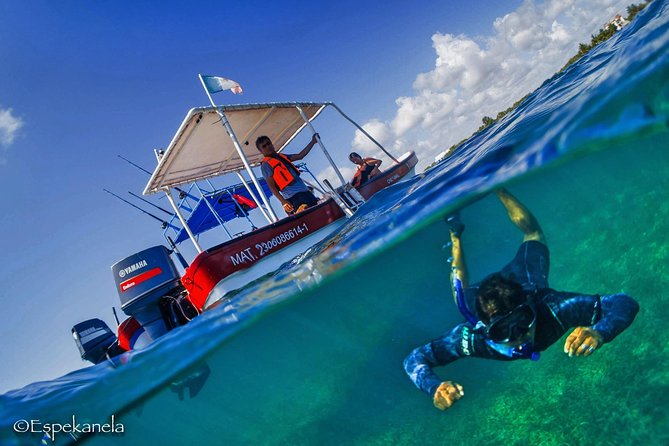 Costa Maya Shallow Reef Snorkeling Tour - Meeting and Pickup Details
