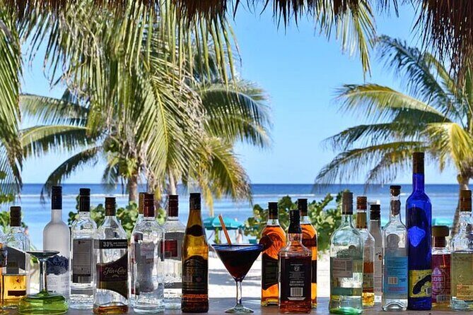 Costa Maya Shore Excursion in Nacional Beach Club Resort - Who is This Experience Perfect For?