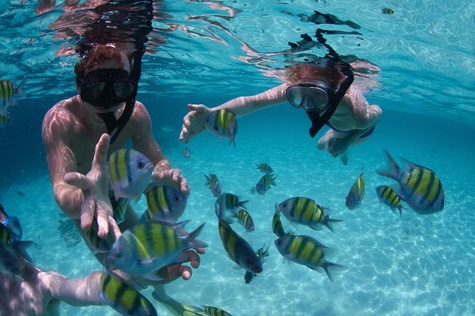 Costa Maya Snorkel Tour - What to Expect and Restrictions