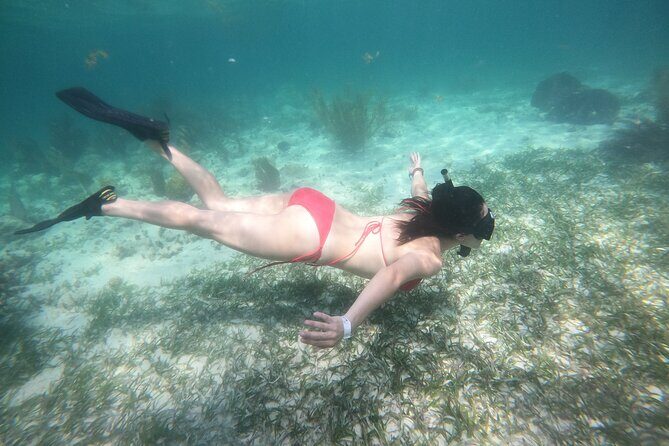 Costa Maya, snorkeling on the reef with fish, looking for turtles - The Sum Up: Is It Worth It?