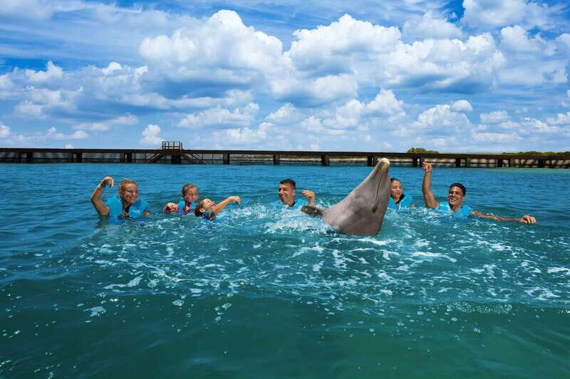 Costa Mujeres: Swim with Dolphins - Good To Know