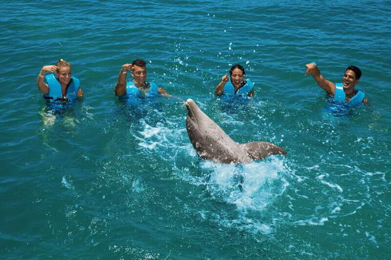 Costa Mujeres: Swim with Dolphins - A Closer Look at the Costa Mujeres Dolphin Experience