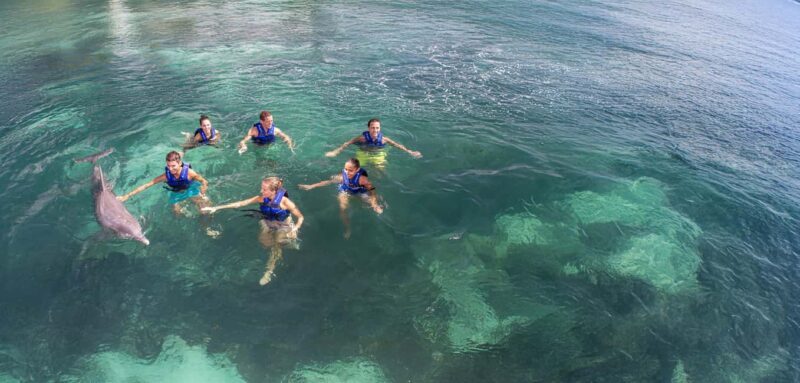 Costa Mujeres: Swim with Dolphins - FAQ