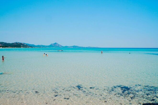 Costa Rei Boat Trip With Snorkeling and Marine Biologist - Essential Requirements and Information