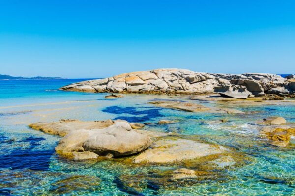 Costa Rei Boat Trip With Snorkeling and Marine Biologist - Customer Reviews and Feedback