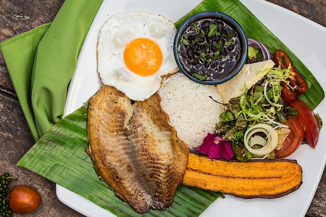 Costa Rica Campesino Farm Tour - Experience Highlights