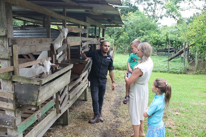 Costa Rica Descents Organic Farm - Experience Duration and Capacity