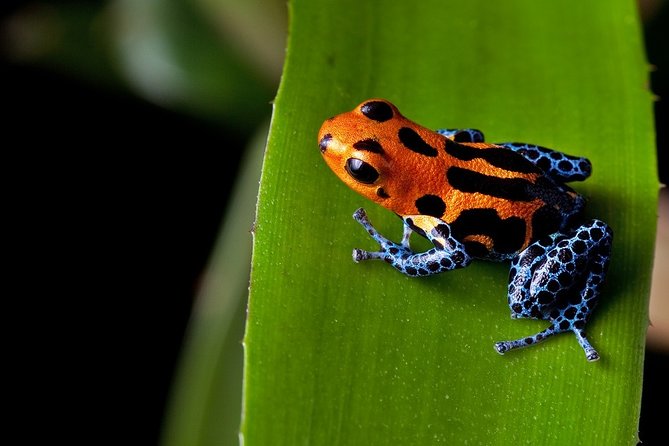 Costa Rica Top Adventure 8D/7N Vacation Package - Location and Duration