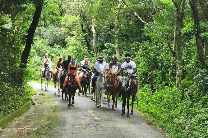 Costa Rica's Active Volcano Tour Thrills Adventurers - Tour Highlights