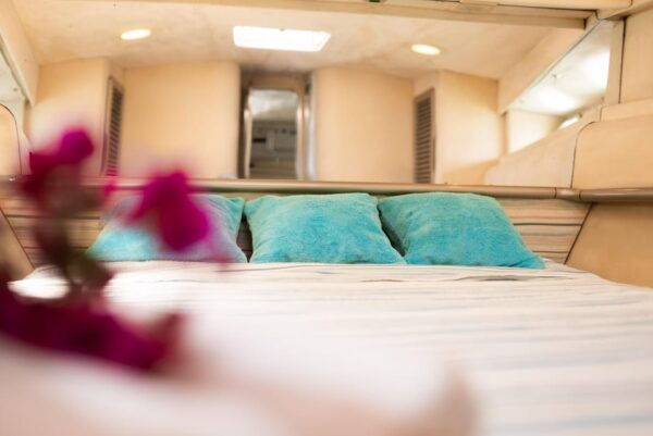 Costa Smeralda: Tavolara Tour | Molara | Capo Coda Cavallo - Departure and Return