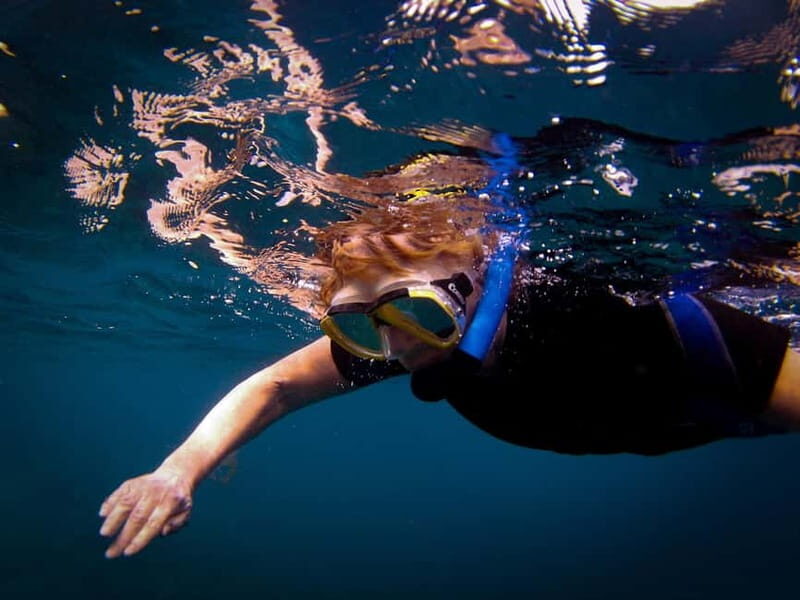 Costa Teguise: Guided 2-hour Snorkeling Tour for all levels - Who Is This Tour Best For?