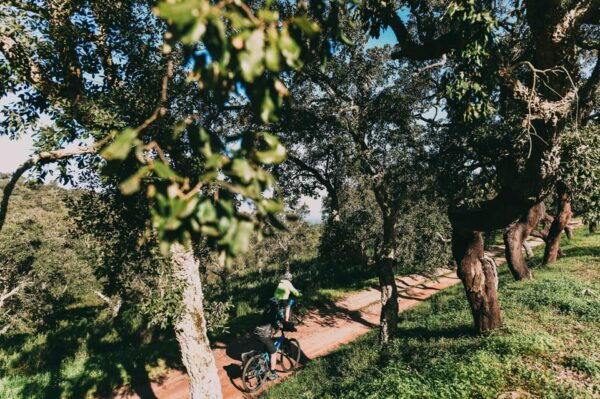 Costa Vicentina: Amazing 8 Days BikeTour | Lisbon to Algarve - Odeceixe, Aljezur, and Carrapateira