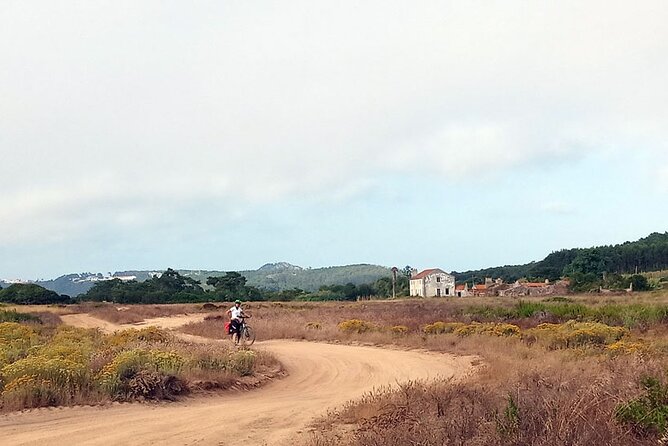 Costa Vicentina Week-Long Bike Tour From Lisbon - Porto - Overview and Tour Details