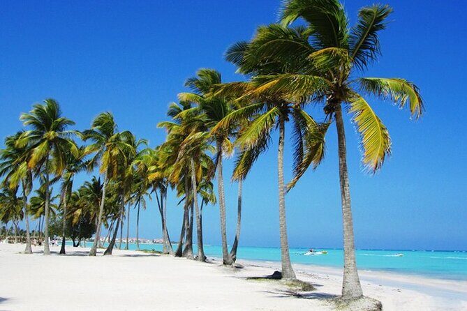 Costambar - Puerto Plata Airport - The Booking Experience