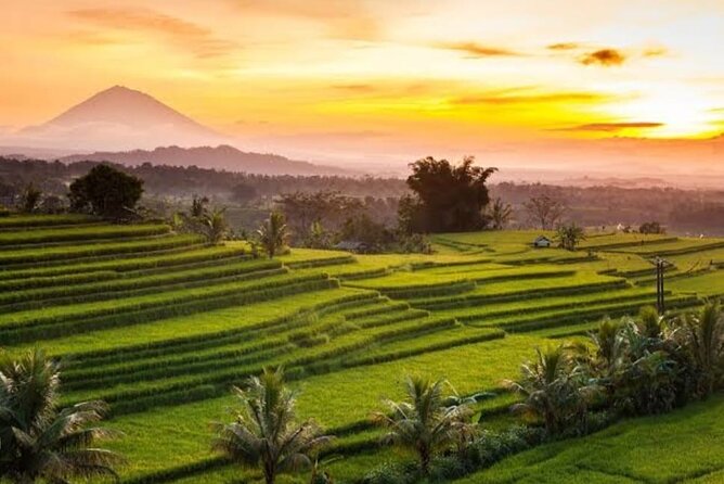 Costumized Bali UNESCO World Heritages Sites Tour - Itinerary Overview