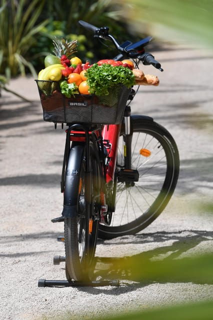 Côte Dazur: E-Bike Rental - Bike and Paddle Board Options