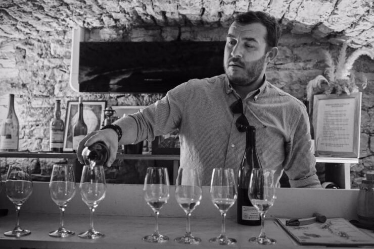 Côte De Beaune and Côte De Nuits : Private Full Day Winetour - Tour Experience