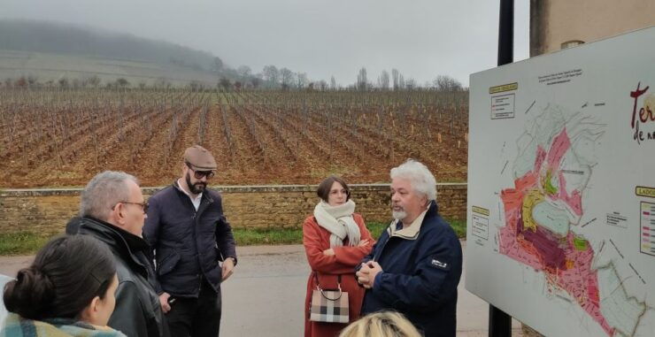 Côte De Beaune Private Local Wineries and Wine Tasting Tour - Tour Details