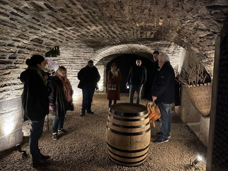 Côte De Beaune Private Local Wineries and Wine Tasting Tour - Tour Experience