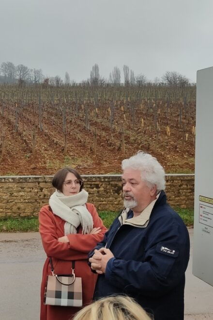 Côte De Beaune Private Local Wineries and Wine Tasting Tour - Tour Highlights