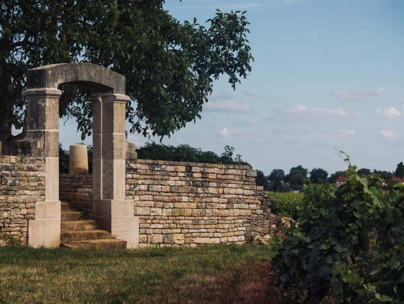 Côte de Nuits: Excursion in the heart of the vineyards - Good To Know