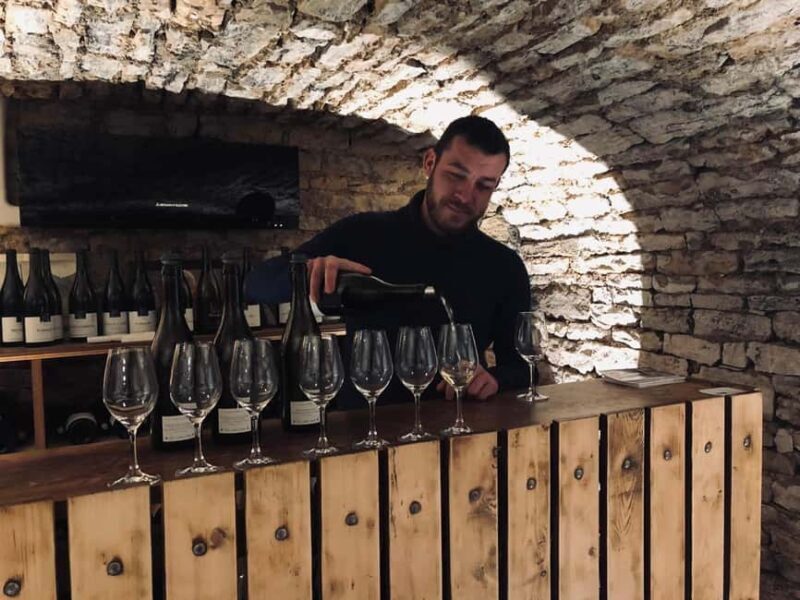 Côte de Nuits: Excursion in the heart of the vineyards - The Practicalities: What You Need to Know